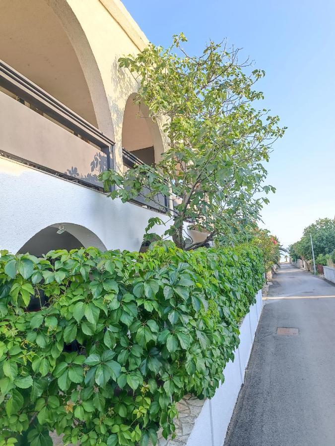 Branka- 4 In House- 1 Has Jacuzzi Apartman